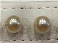 Boucles d'oreilles Salvini Femme in Or jaune Perla N83716N - N83716N